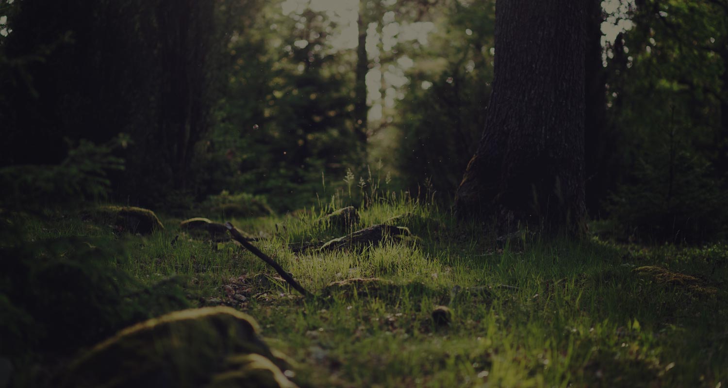 Escritório de advocacia